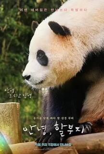 再见,福宝